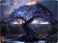 Thumbnail for version as of 21:41, 9 May 2025