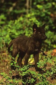 My baby picture <3