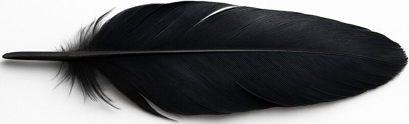 File:AshtonFeather.jpg