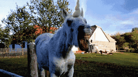Unicorn DOES have a war aspect. Just sayin.