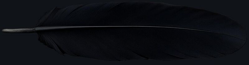 File:Ashtonfeather.jpg