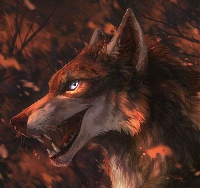 File:Red wolf mischief.jpg