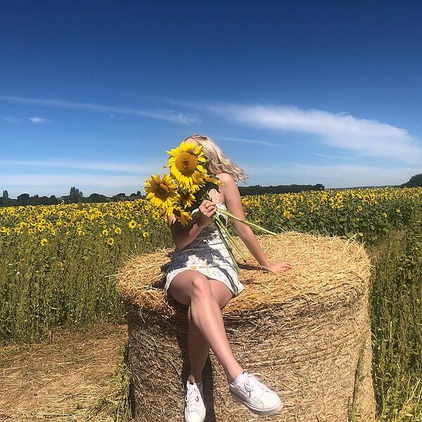 File:Tiffsunflower.jpg