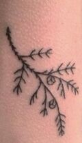 200pxBoth Hands: Cedar