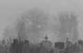 Thumbnail for version as of 00:59, 27 July 2025